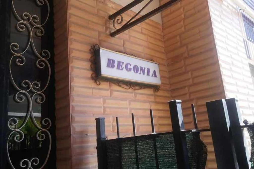 Aurelia - Apartment Begonia Rom Exterior foto